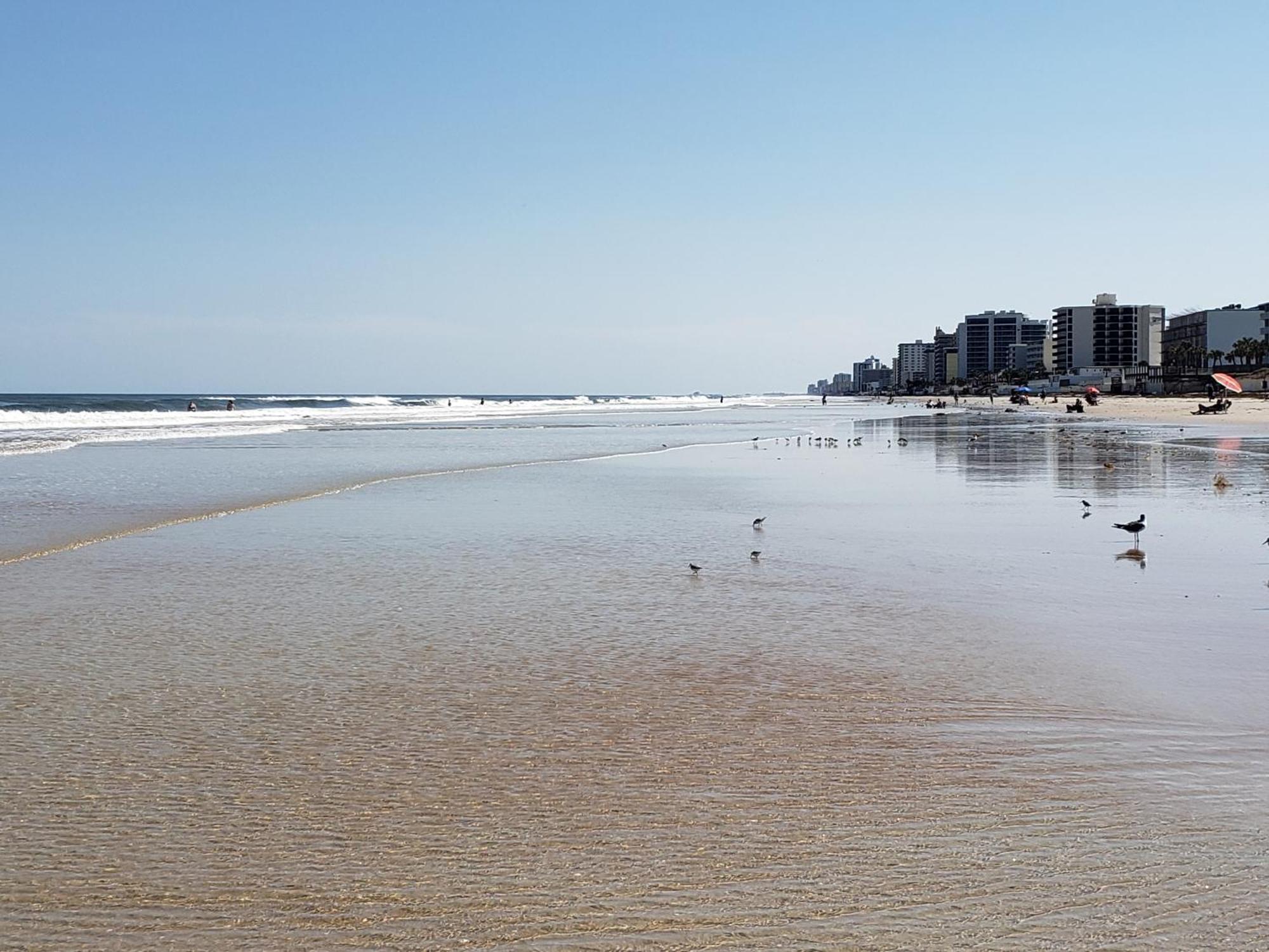 Beachside Bliss Ocean Views & Endless Fun Daytona Beach! 外观 照片