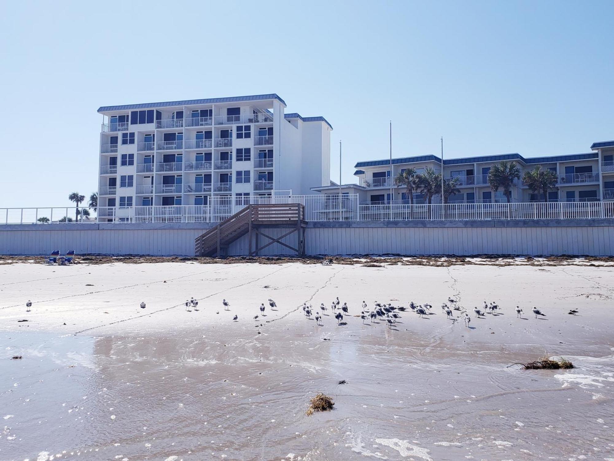 Beachside Bliss Ocean Views & Endless Fun Daytona Beach! 外观 照片